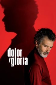 Dolor y gloria / Pain and glory