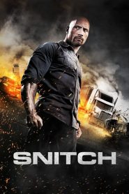 Snitch / El infiltrado