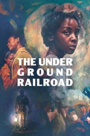 El ferrocarril subterráneo / The underground railroad